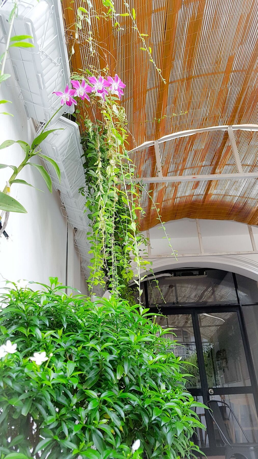 Khách sạn Holo Fairy House Saigon - Adult Only